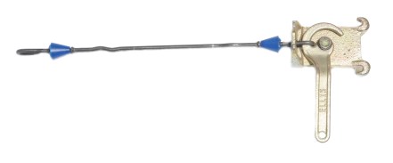 Photo by Michael Downes