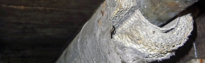 lam3jiepxa-ed246528-4e26-9019-81c2-bde7e1c6c907